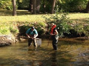 Steppingstone Shiawassee - workers in the river